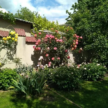 в частном доме в аркадии * Οδησσός