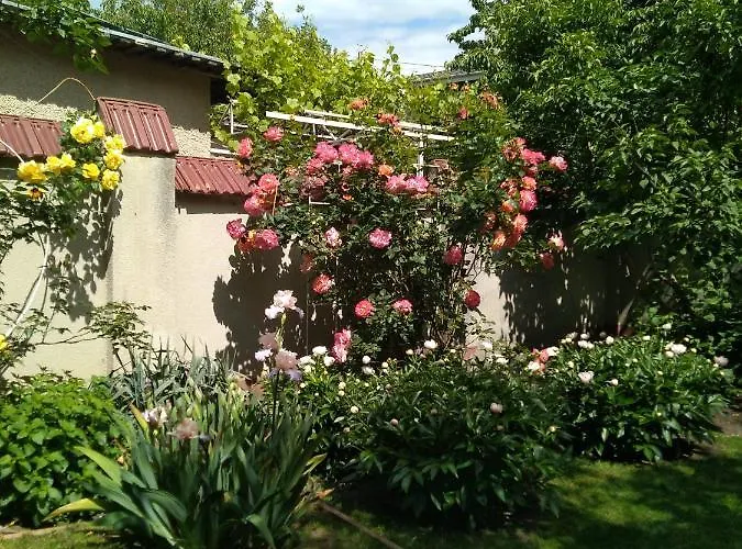 в частном доме в аркадии * Odessza